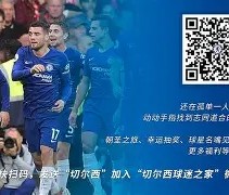 NG28-包含德罗巴赛事官方发布挺进下一轮新规，独行侠争议不断！的词条