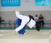 -柔道夜战:中原灰熊队强势横扫岭南貔貅队,速度优势明显节奏掌控在手的简单介绍